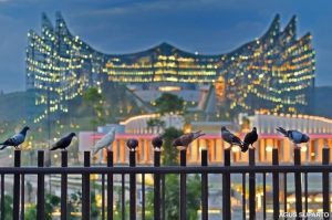 Satgas IKN Bubar! Sri Mulyani Berkata Tidak!