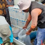 Koperasi Ini Jadi "Bapak Asuh" Desa!