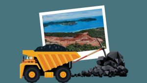 Raja Ampat Berbenah! 4 Tambang Nakal Ditutup Permanen