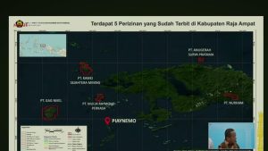 Raja Ampat Bebas Tambang! 4 Izin Dicabut!