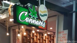 Thailand Urungkan Legalisasi Ganja, Bisnis Rp16,2 Triliun Terancam Kolaps!
