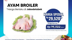 Harga Ayam Jeblok! Buruan Serbu Transmart!