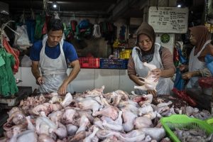 Harga Ayam Meroket! Pasar Semarang Bergolak?