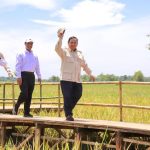 RI Cetak Rekor! Produksi Beras Tertinggi Sepanjang Masa