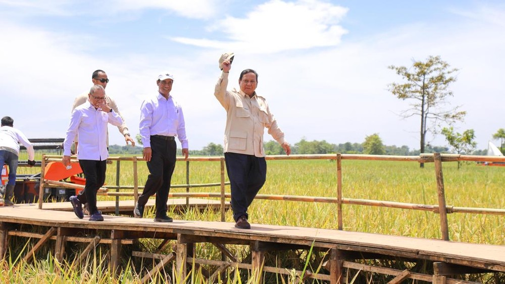 RI Cetak Rekor! Produksi Beras Tertinggi Sepanjang Masa