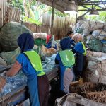 Sampah Jadi Sultan! Koperasi Pemulung Raup Miliaran Rupiah!