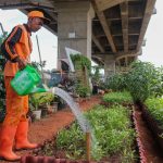 Heboh! Kolong Tol Becakayu Berubah Jadi Ladang Emas Hijau!
