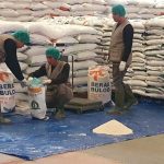 Bulog Borong Beras Petani Aceh-Papua, Stok Aman 2026!