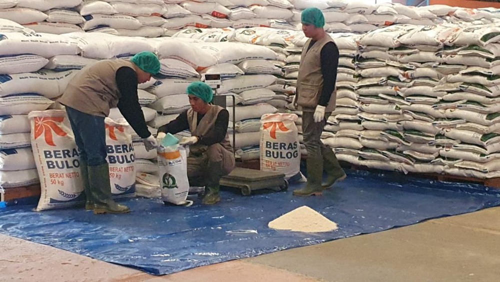 Bulog Borong Beras Petani Aceh-Papua, Stok Aman 2026!