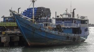 Skandal Daging Ilegal 70 Ton Terkuak di Perairan Kepri!