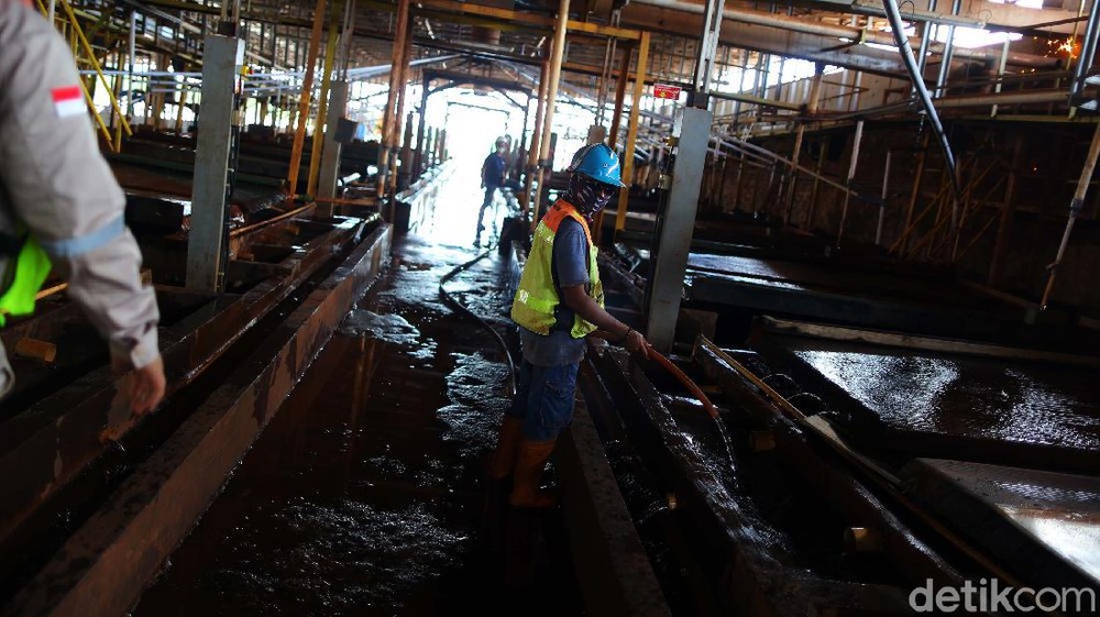 "Harta Karun Dunia" di Mamuju: Indonesia Siap Guncang Pasar Logam Langka!