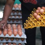 TERUNGKAP! RI Bakal Banjir 1,5 Juta Ton Daging Ayam!