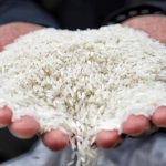 Terungkap! 7 Pangan Pokok Ini Tak Impor Lagi, Indonesia Mandiri!