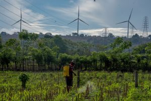 Indonesia Gemparkan Dunia! PLTB Siap Jadi Jawaban