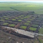 NTT Geger! Tambak Udang Rp 7,2 T Siap Ubah Sumba!