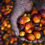 Terbongkar! Jurus Ampuh RI Hapus Impor Solar Tahun Ini!