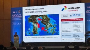 Geger! PHE Kunci Lahan Migas Baru, Cadangan Energi Melimpah?