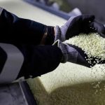 Pupuk RI Melimpah! India Antre, Petani Aman?