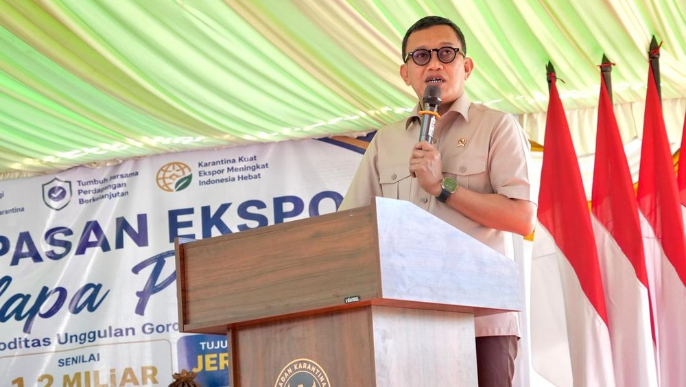 Ekspor Rp 1,2 M: Kelapa Gorontalo Taklukkan Pasar Jerman!