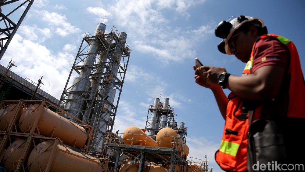 TERUNGKAP! Gas Masela: Pupuk, PLN, PGN Panen Energi!