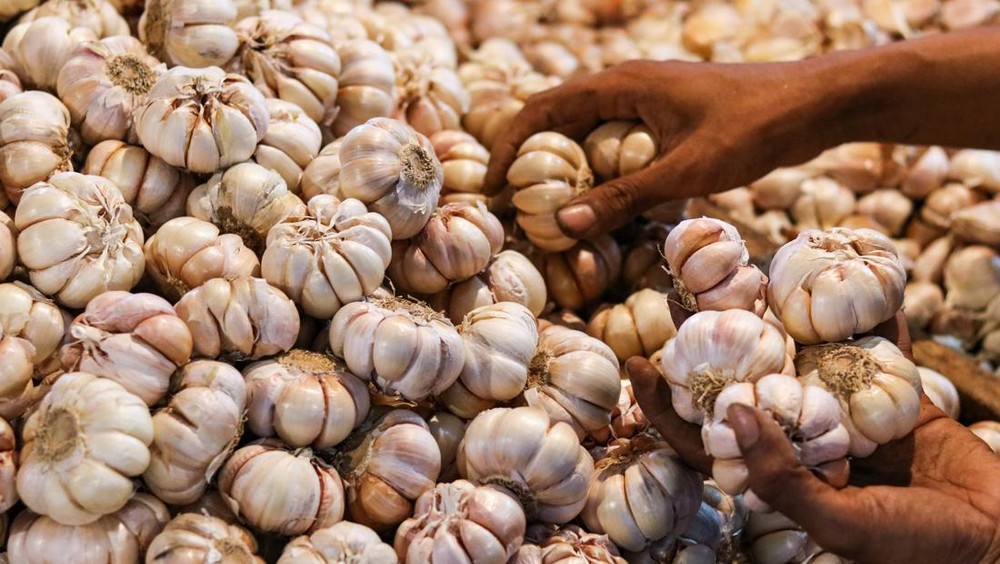 Terungkap! Dalang Kenaikan Harga Bawang Putih Rp100 Ribu!