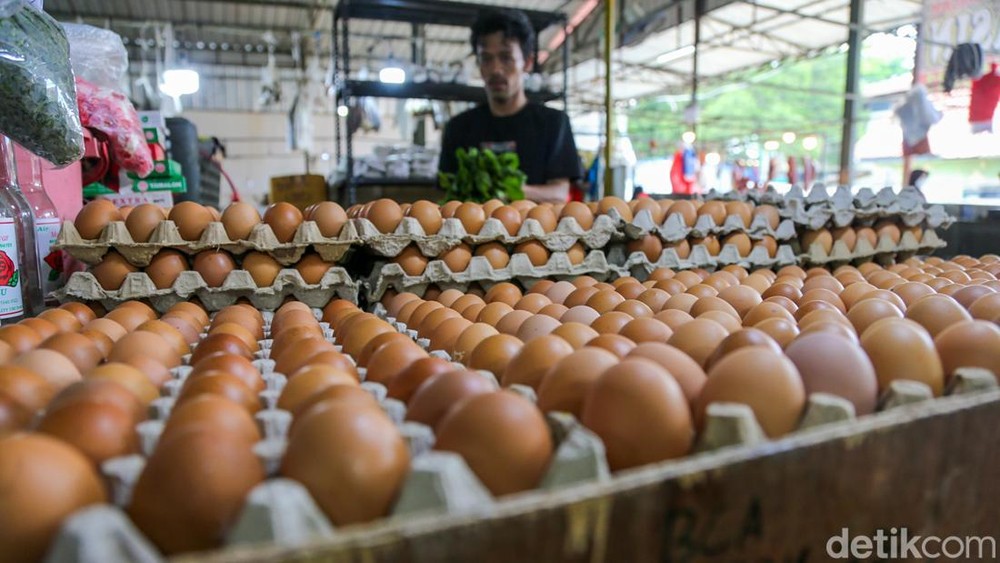 Harga Telur Naik Padahal Stok Melimpah!